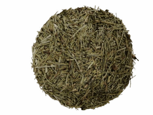 Cola de caballo