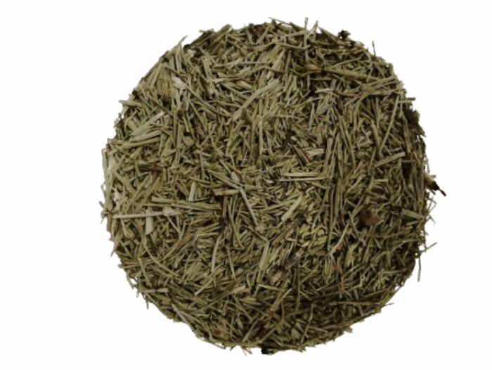 Cola de caballo
