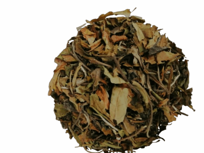 Te blanco pai mutan