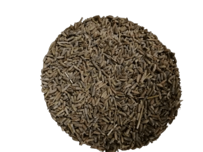 lAVANDA