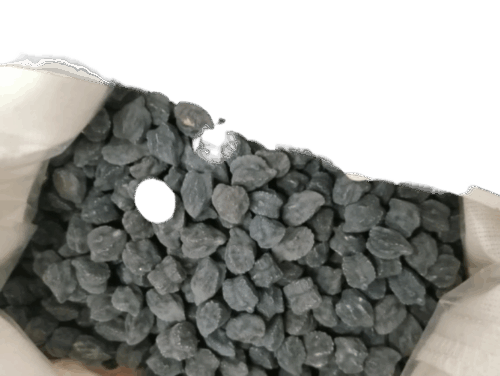 Garbanzo Negro