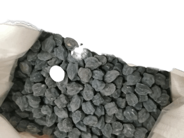 Garbanzo Negro