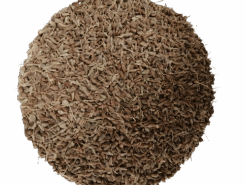 ANIS EN GRANO