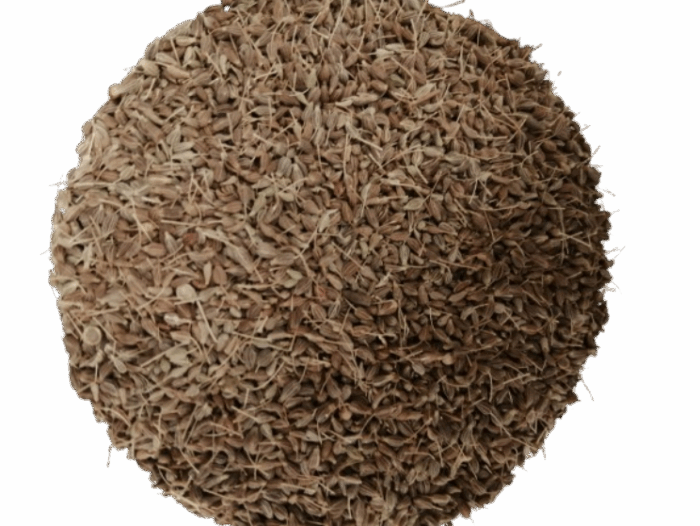 ANIS EN GRANO