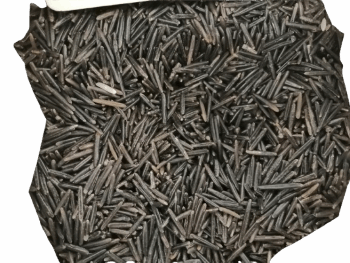 ARROZ SALVAJE
