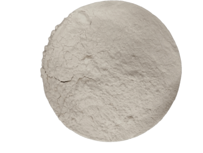 CEBOLLA MOLIDA