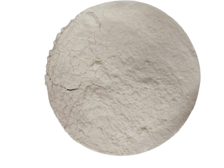 CEBOLLA MOLIDA