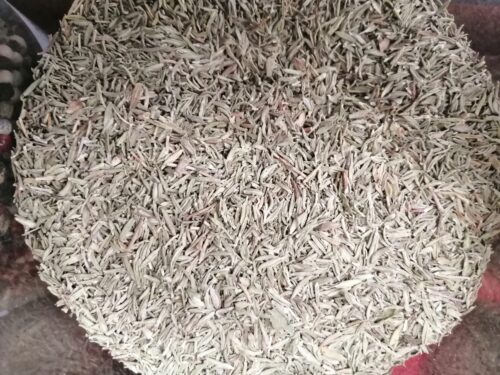 TOMILLO EN HOJA