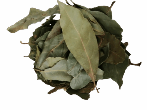 LAUREL EN HOJA