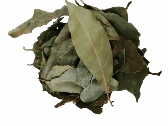 LAUREL EN HOJA