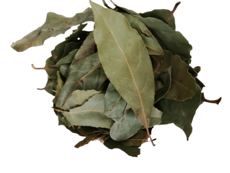 LAUREL EN HOJA