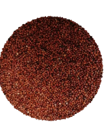QUINOA ROJA