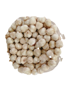 AVELLANA CRUDA PELADA