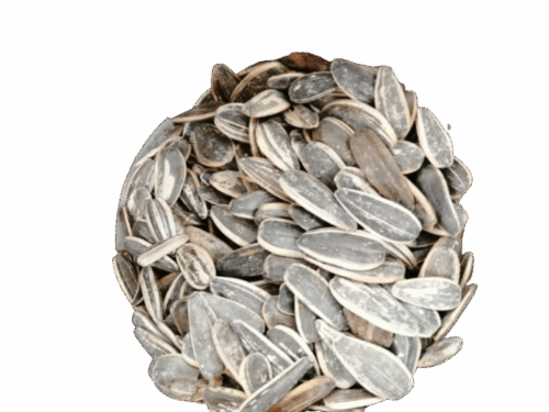 PIPA GIRASOL TOSTADA CON CASCARA