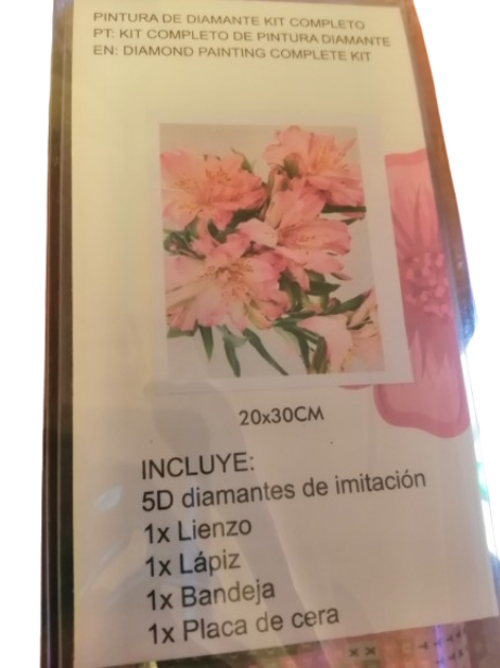 Pintura de diamante kit completo