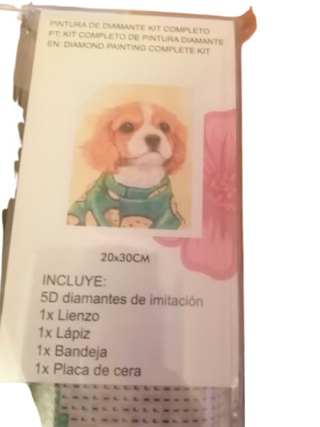 Pintura de diamante kit completo