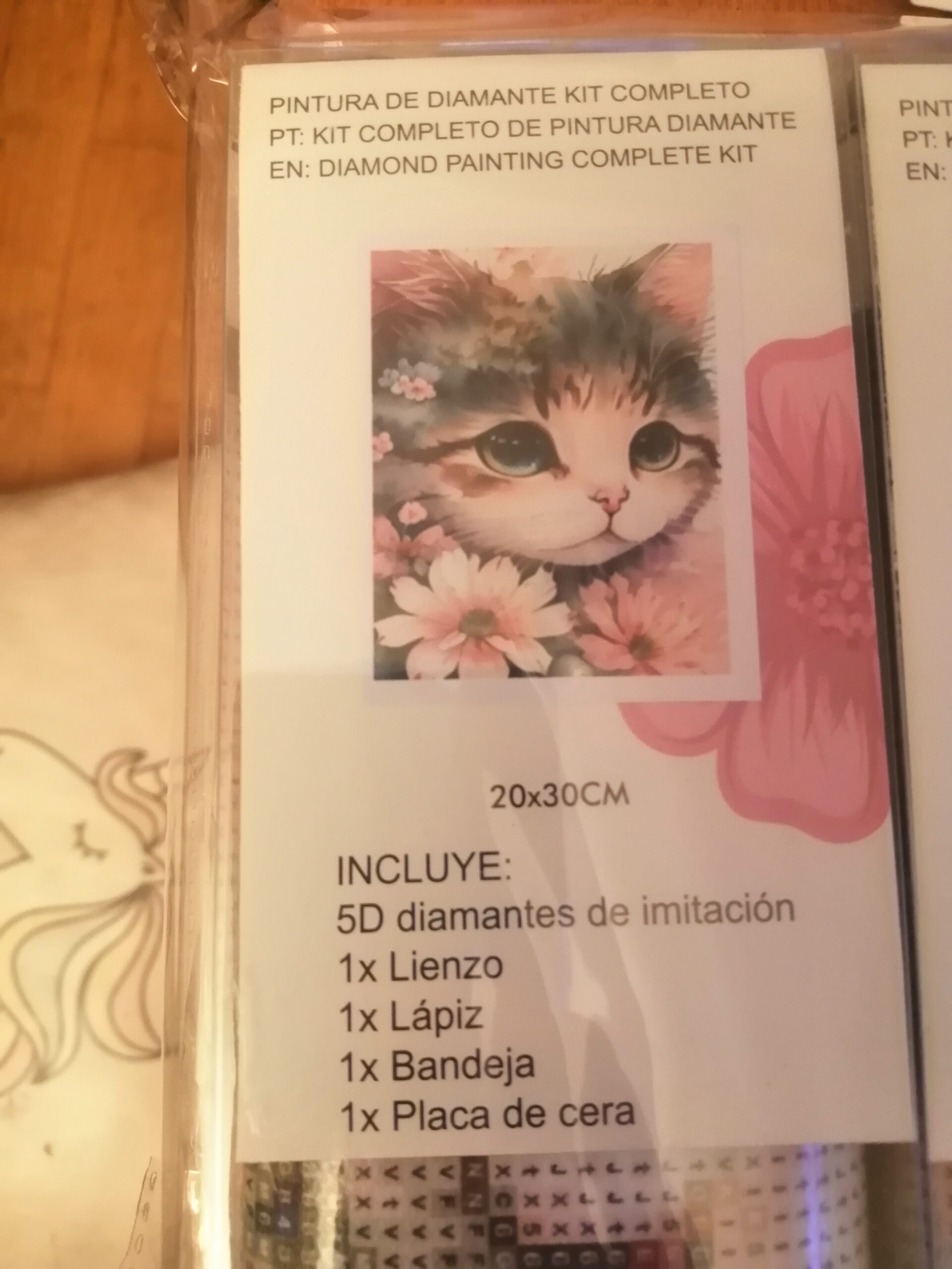 Pintura de diamante,kit completo